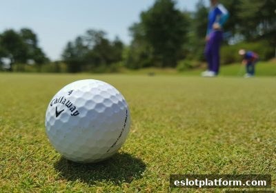 电子游戏平台投注策略深度解析：固定与流动方法对比与实战技巧