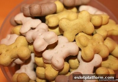 电子游戏平台上的AG捕鱼新手必修课：从零到高手的完整路径