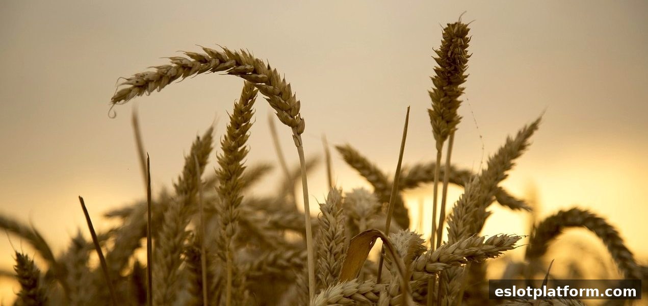 电子游戏平台世界杯直播狂欢：每日返现活动全面解读