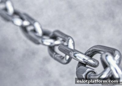 电子游戏平台运营资质查证全攻略：从官网公示到用户反馈